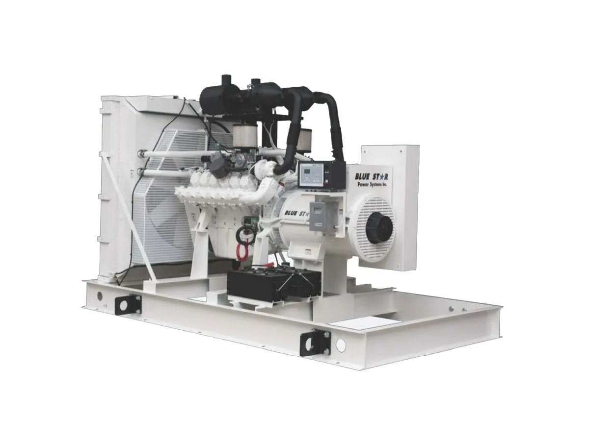 Blue Star Power Systems Blue Star NG265-01 generator — specifications and details