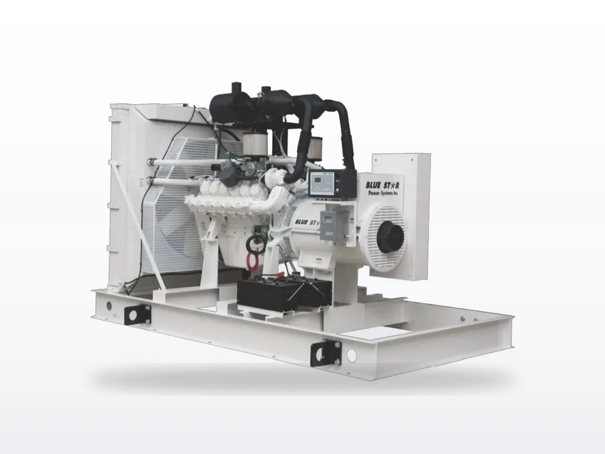 Blue Star Power Systems Blue Star NG500-02 generator — specifications and details