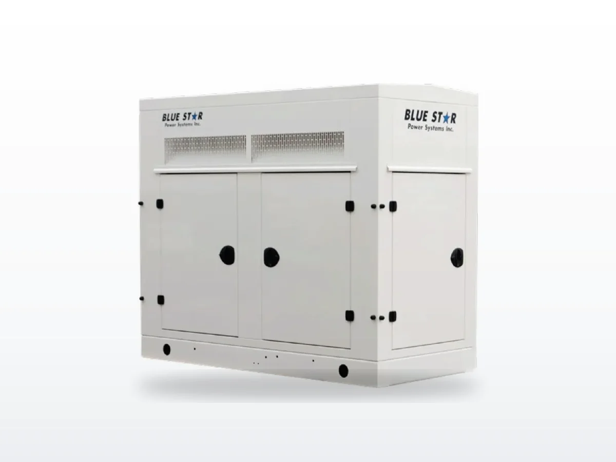 Blue Star Power Systems Blue Star NG650-01P 650 kW liquid-cooled standby generator