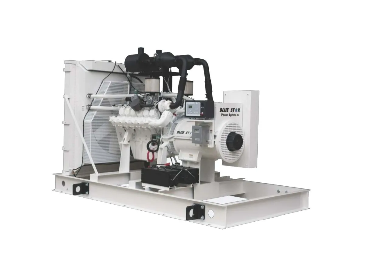 Blue Star Power Systems Blue Star NG800-01 generator — specifications and details